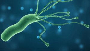 Como combatir la bacteria helicobacter pylori